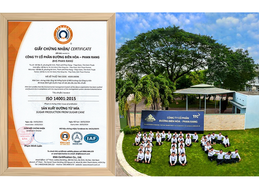 Mẫu chứng nhận ISO 14001 của KNA