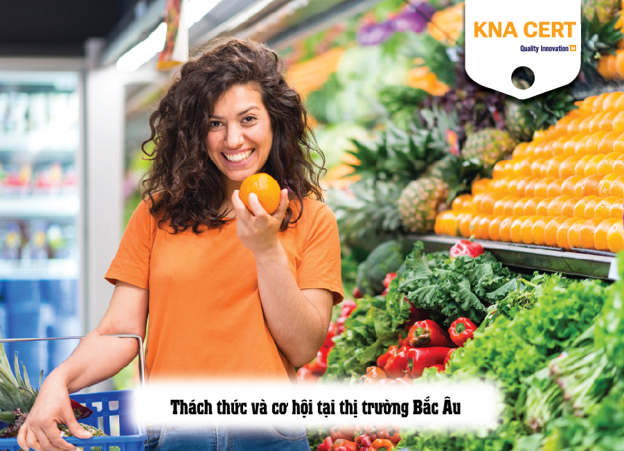 Thách thức và cơ hội tại thị trường Bắc Âu