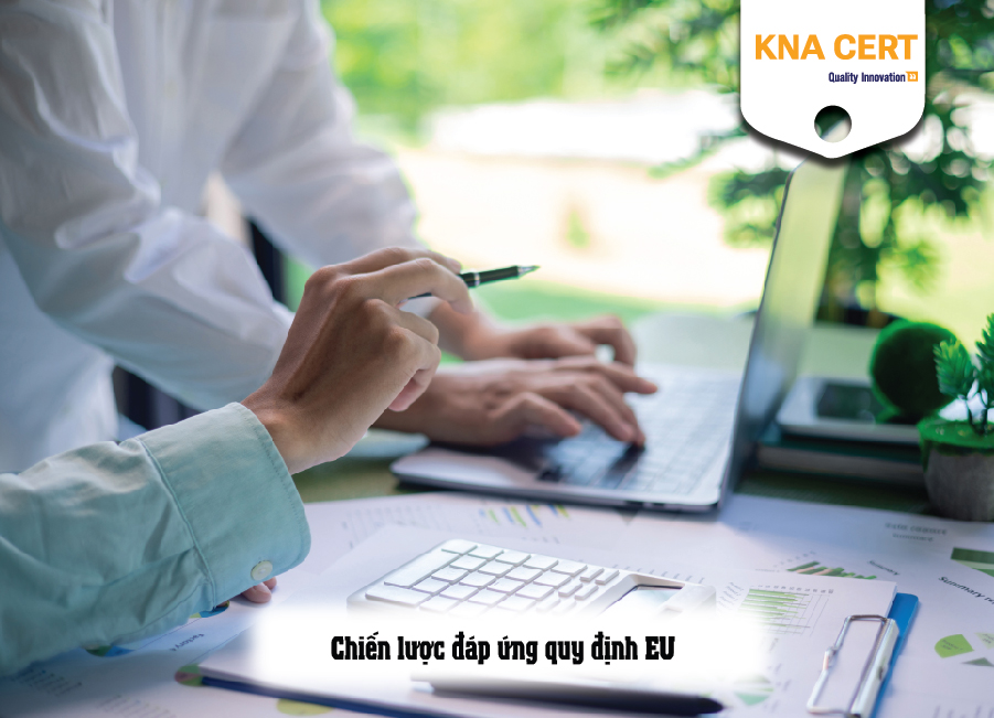 Chiến lược đáp ứng quy định EU