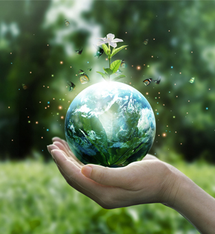 ĐÁNH GIÁ <br />TRÁCH NHIỆM XÃ HỘI