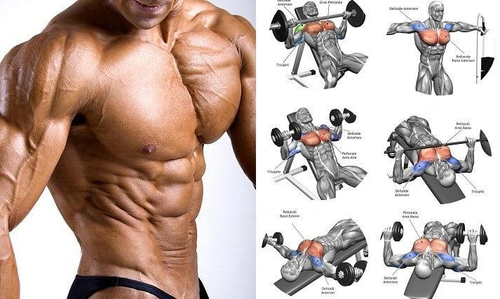 TẤT TẦN TẬT LỊCH TẬP GYM DÀNH CHO NGƯỜI MỚI BẮT ĐẦU 2023