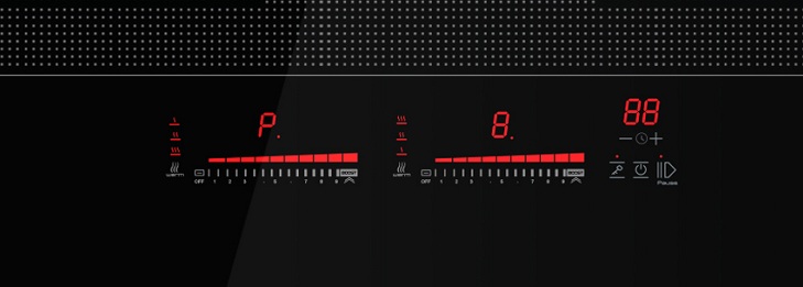 Bếp Từ EUROSUN EU-T899G