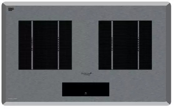 Bếp Từ CANZY CZ-9928P