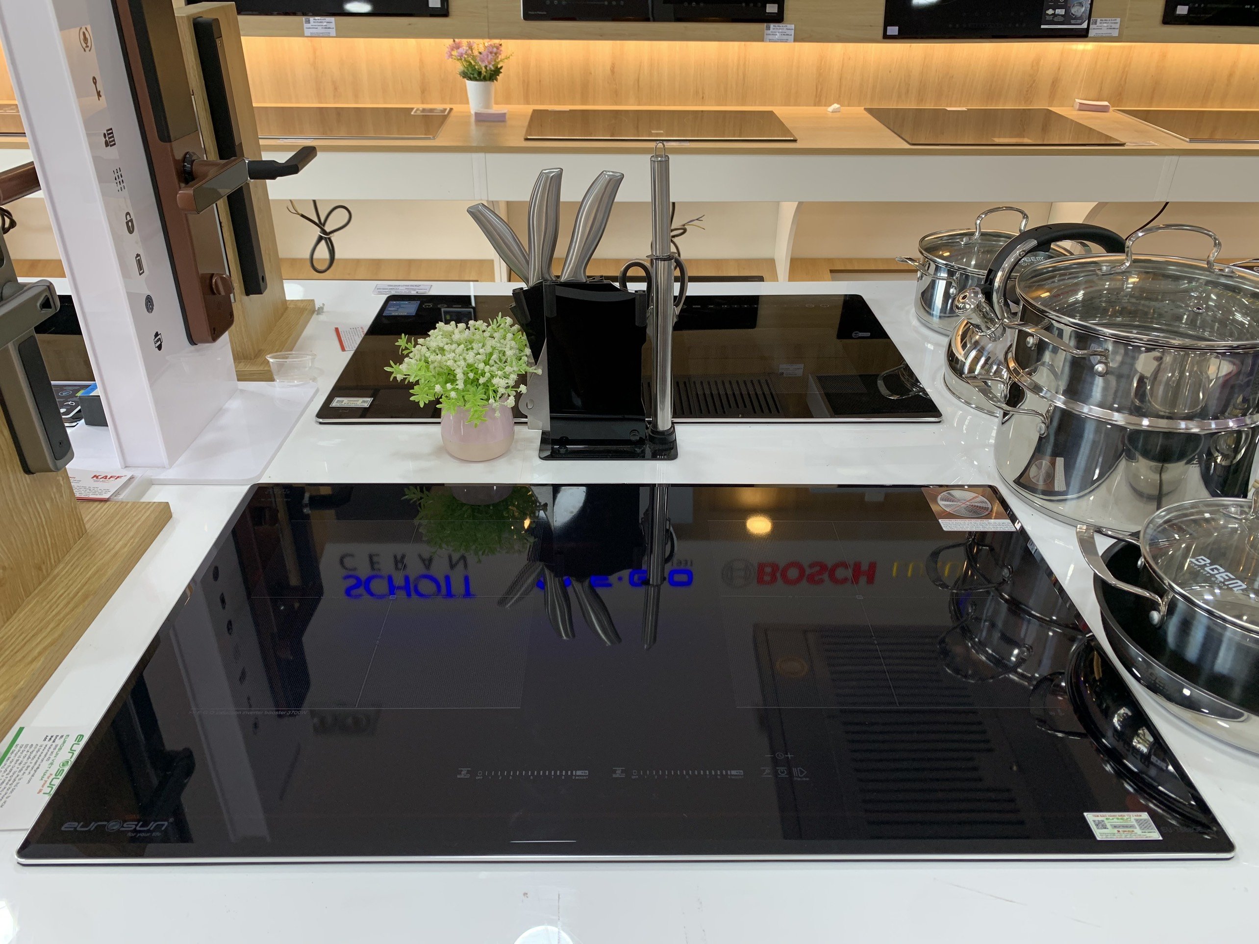 Bếp Từ Eurosun EU-T888GE(S)