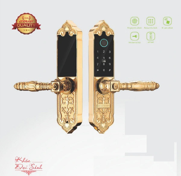 Khóa Điện Tử KASSLER KL-919 APP