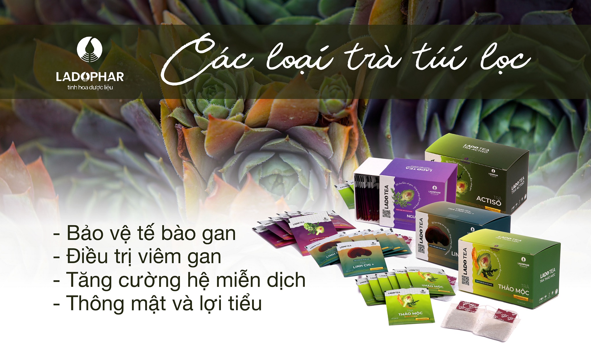 Những Điều Cần Lưu Ý Khi Sử Dụng Thảo Dược Mát Gan 7 tra tong hop lado web 53fd8021 4275 4d8b aad4 1bdacda10bc4