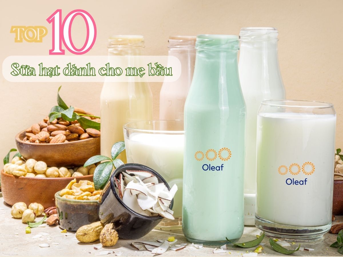 Top 10 Loại Sữa Hạt Tốt Tuyệt Vời cho Mẹ Bầu và Thai Nhi