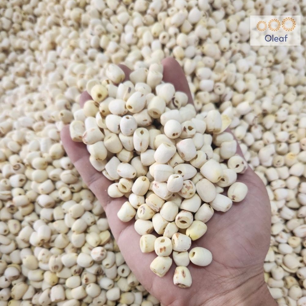 Hạt Sen Khô Đồng Tháp Thượng Hạng - Không Sượng - Bở Bùi - Nấu Chè Dưỡng Nhan - Làm Sữa Hạt - OLEAF