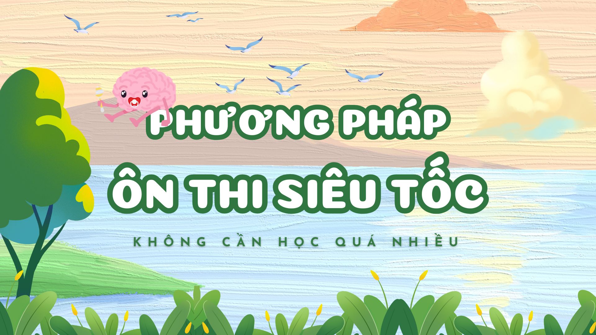 PHƯƠNG PHÁP GIÚP ÔN THI SIÊU TỐC – KHÔNG CẦN HỌC QUÁ NHIỀU 🧠