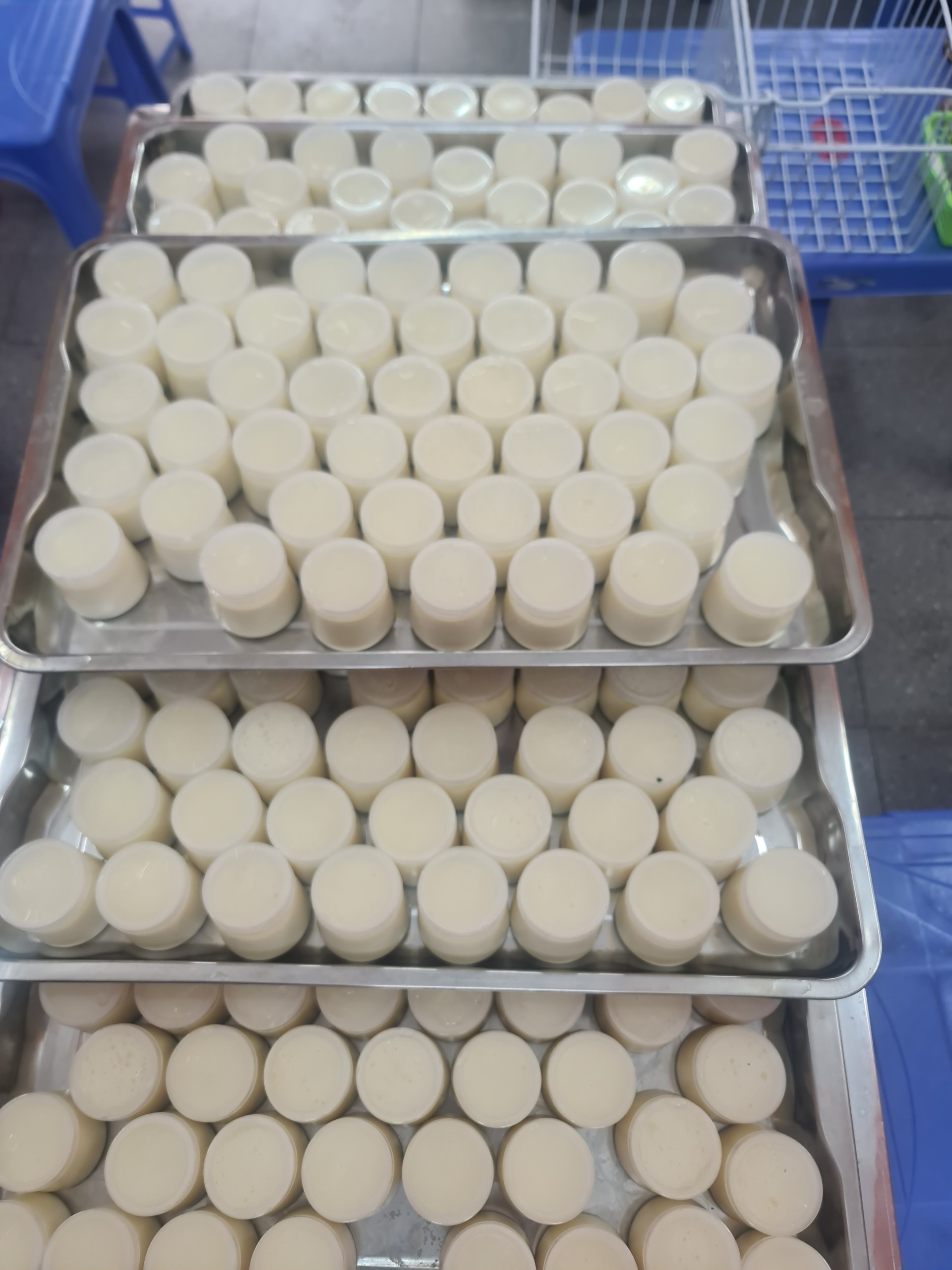 Bán buôn 100 Hũ Sữa Chua Handmade Vũ Như Hũ To