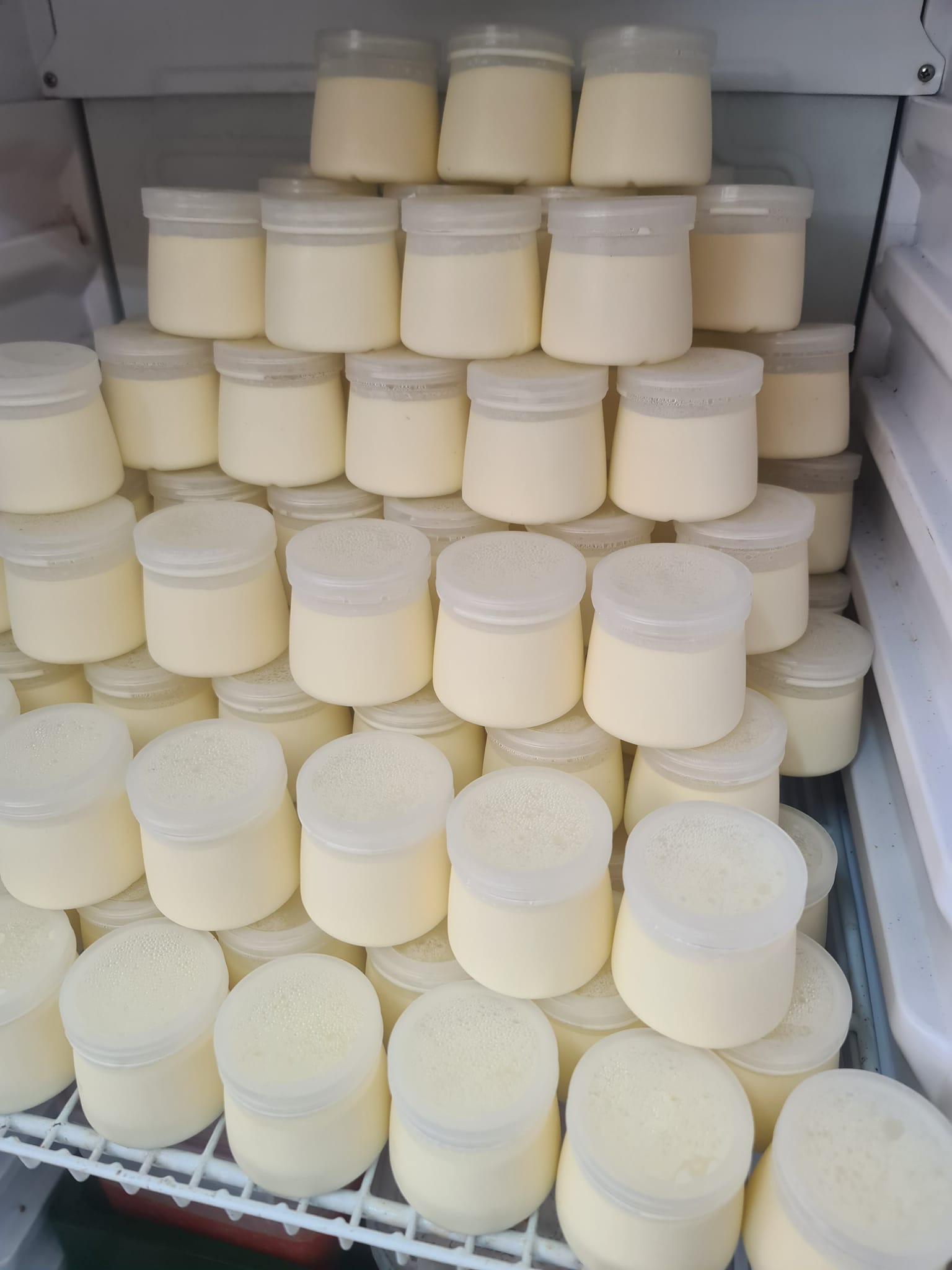 30 Hũ Sữa Chua Handmade Vũ Như Hũ To