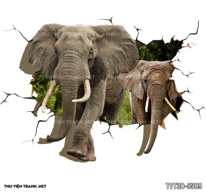 Tranh dán tường 3D  voi