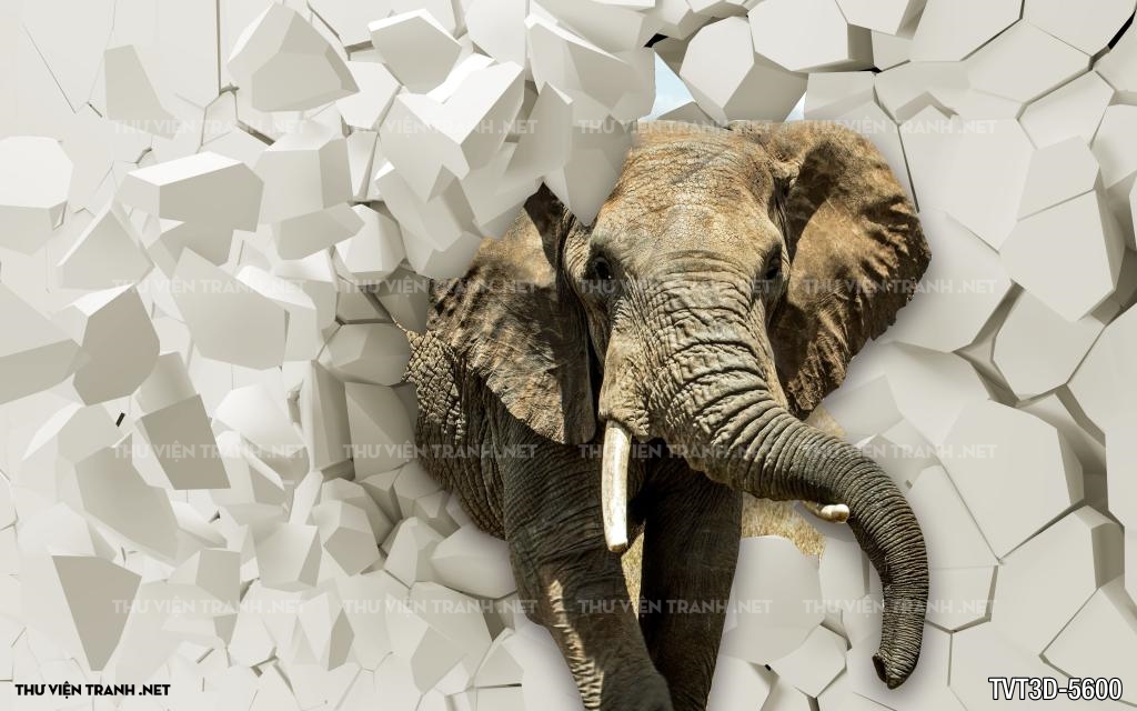 Tranh dán tường 3D voi