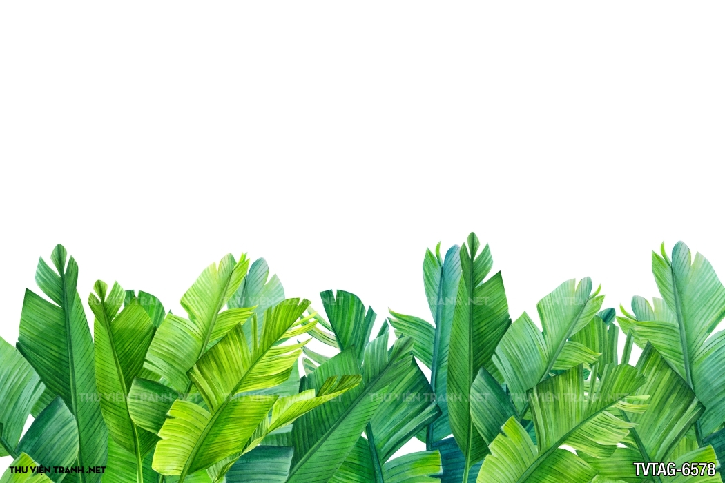 Tranh dán tường lá chuối- Banana Leaf