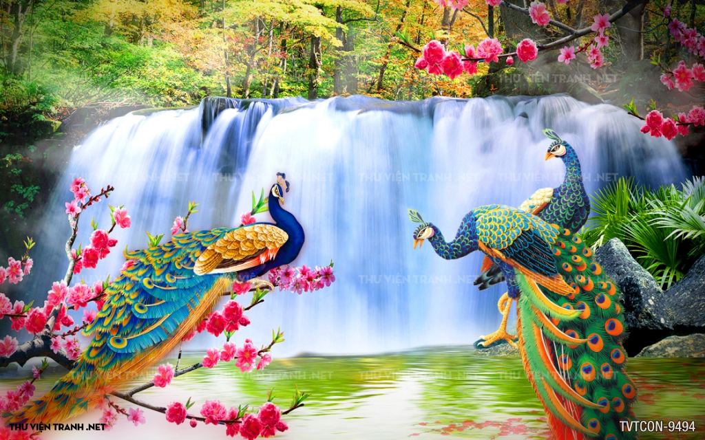 Tranh Chim Công-Peacock