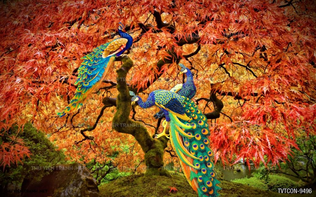 Tranh Chim Công-Peacock