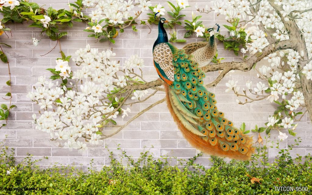Tranh Chim Công-Peacock