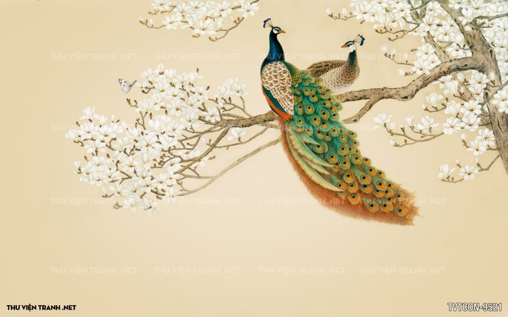 Tranh Chim Công-Peacock