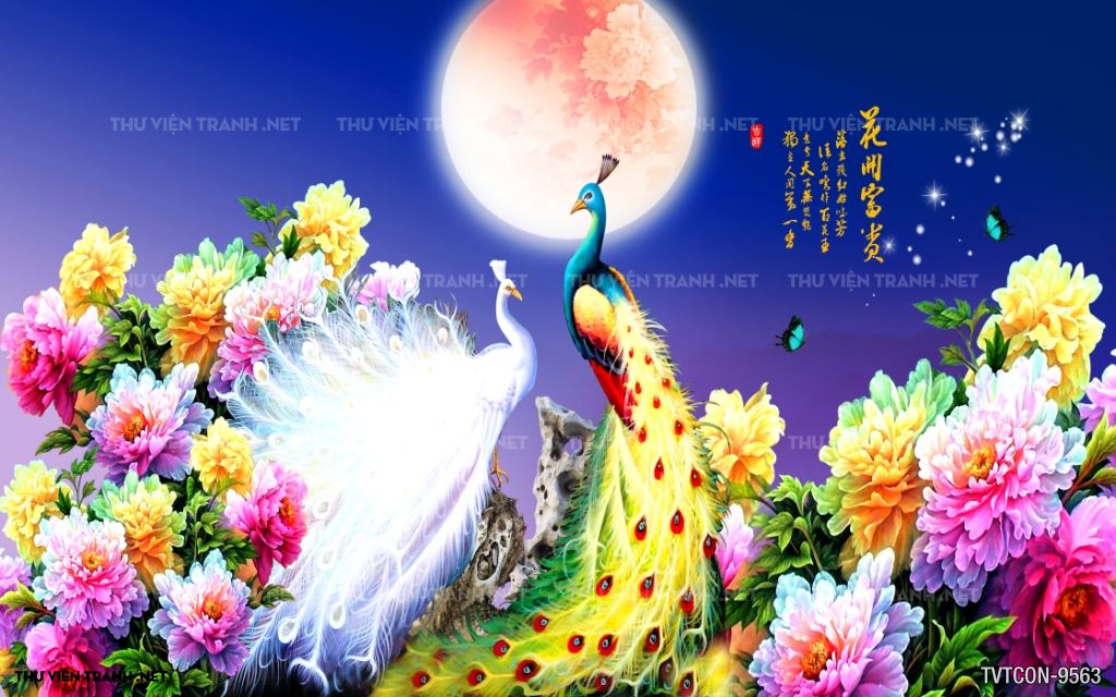 Tranh Chim Công-Peacock