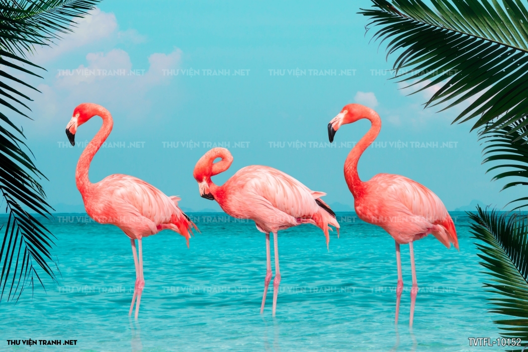 Tranh chim hồng hạc- Flamingo