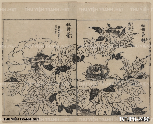 Tranh vẽ Nhật Bản cổ của các bậc thầy Ukiyo-e