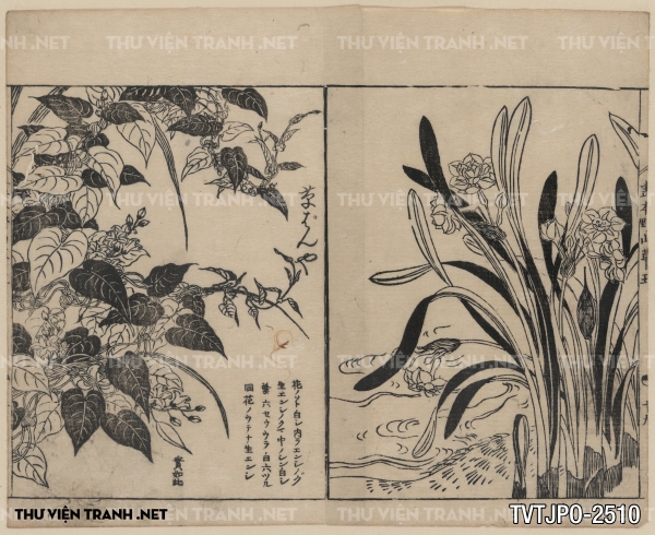Tranh Nhật cổ vẽ tay Ukiyo-e
