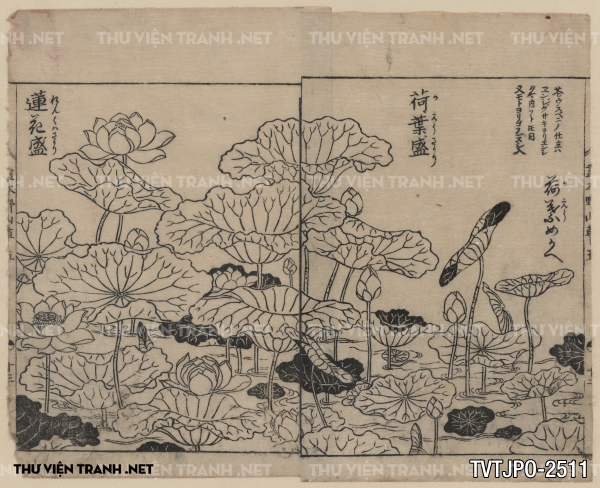Tranh vẽ Nhật Bản cổ của các bậc thầy Ukiyo-e