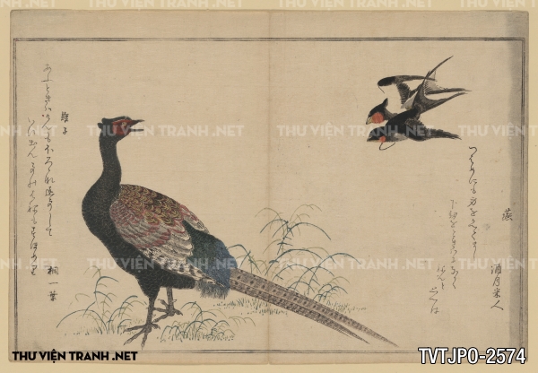 Tranh Nhật cổ vẽ tay Ukiyo-e 2