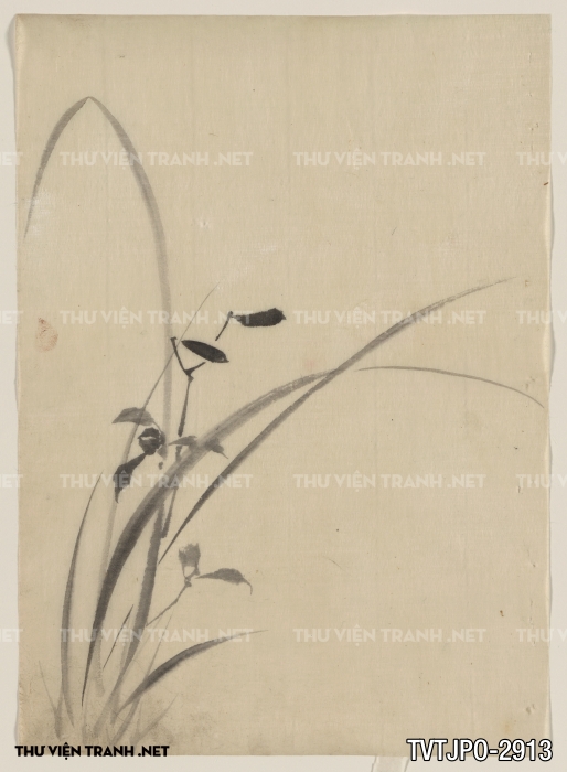 Tranh cổ Nhật Bản vẽ tay