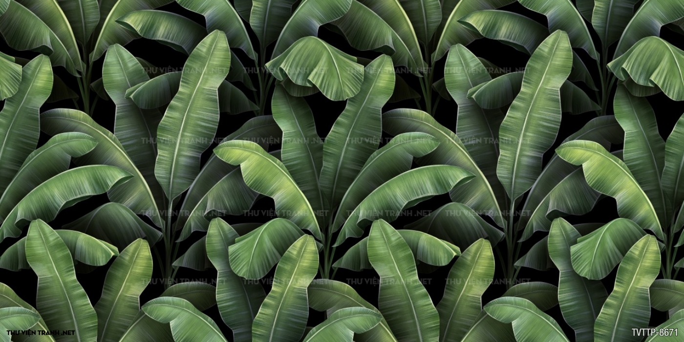 cây lá Nhiệt đới- Tropical leaves