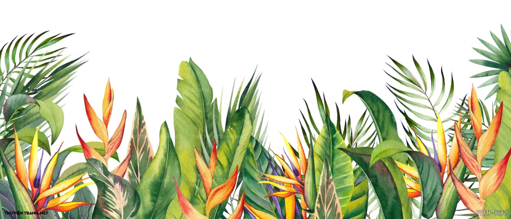 cây lá Nhiệt đới- Tropical leaves