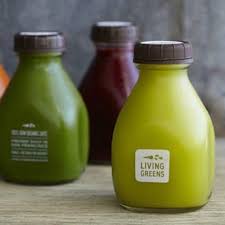 Chai Thủy Tinh Vuông Dáng Lùn 300ml 500ml, Nắp Nhựa An Toàn, Đựng Sữa Chua, Nước Ép - North Star Packing