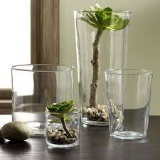 Lọ Thủy Tinh Trụ Tròn, Lọ Hoa Trang Trí Nhiều Kích Thước, Dùng Cắm Hoa, Nuôi Cá, Thủy Sinh - North Star Packing