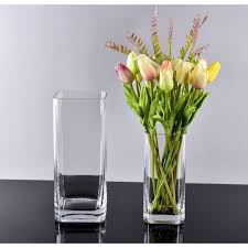 Lọ Thủy Tinh Trụ Tròn, Lọ Hoa Trang Trí Nhiều Kích Thước, Dùng Cắm Hoa, Nuôi Cá, Thủy Sinh - North Star Packing