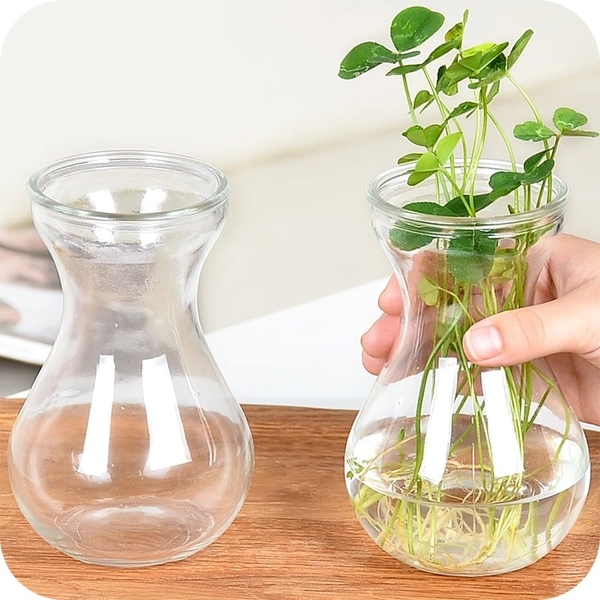 Lọ Hoa Thủy Tinh, Bình Bông Loe Thủy Tinh, Cắm Hoa, Trang Trí, Đựng Nước Ép - North Star Packing