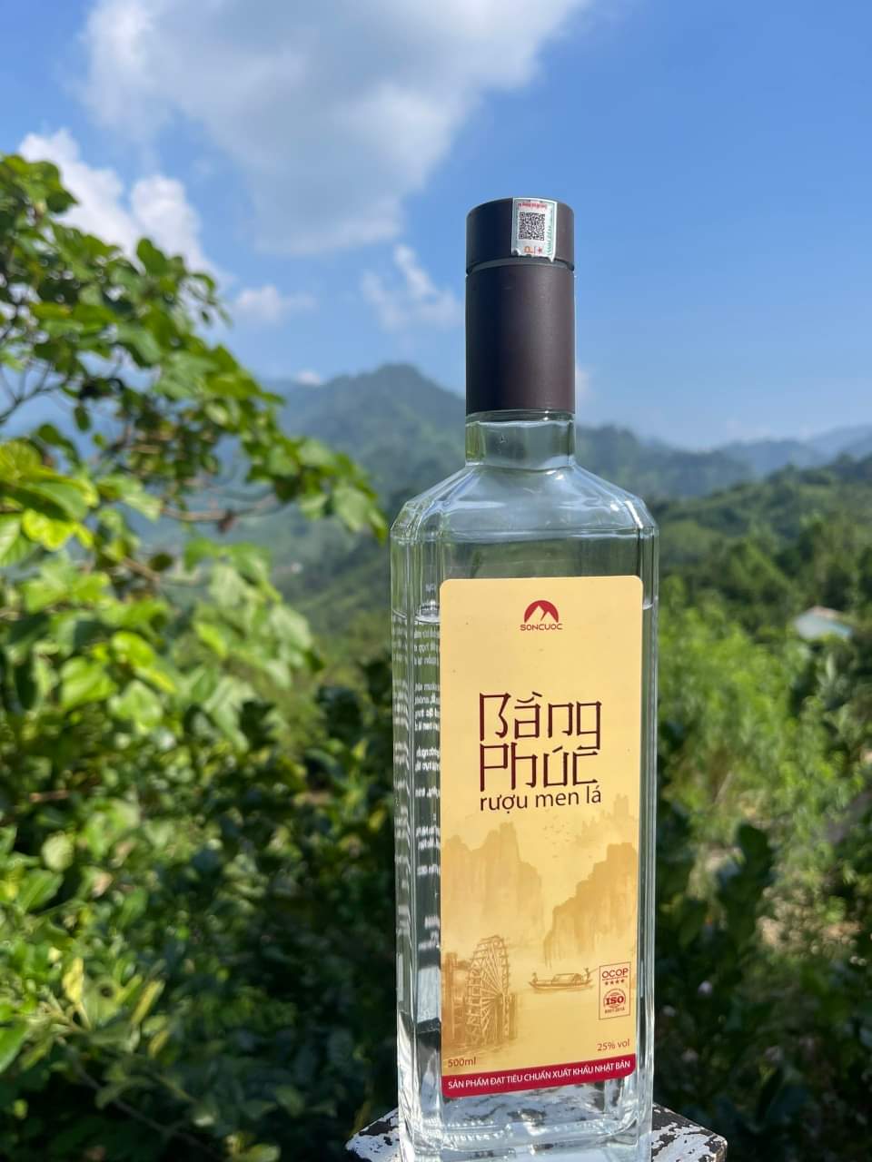 Chai Rượu Dẹt Vuông