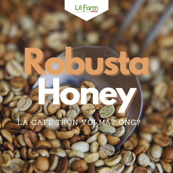ROBUSTA HONEY CÓ PHẢI LÀ CÀ PHÊ KẾT HỢP VỚI MẬT ONG ? ROBUSTA HONEY CÓ PHẢI LÀ CÀ PHÊ KẾT HỢP VỚI MẬT ONG ?