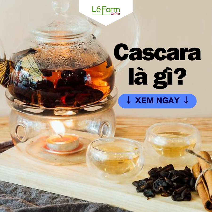 CASCARA - Từ vỏ cà phê Việt Nam trở thành thức uống hảo hạng CASCARA - Từ vỏ cà phê Việt Nam trở thành thức uống hảo hạng
