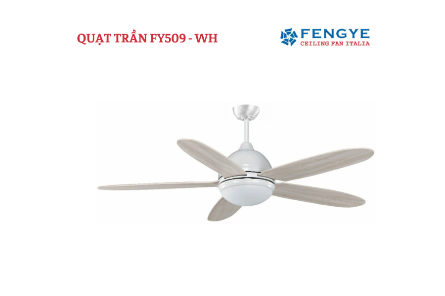 Mẫu quạt trần FY509 - WH