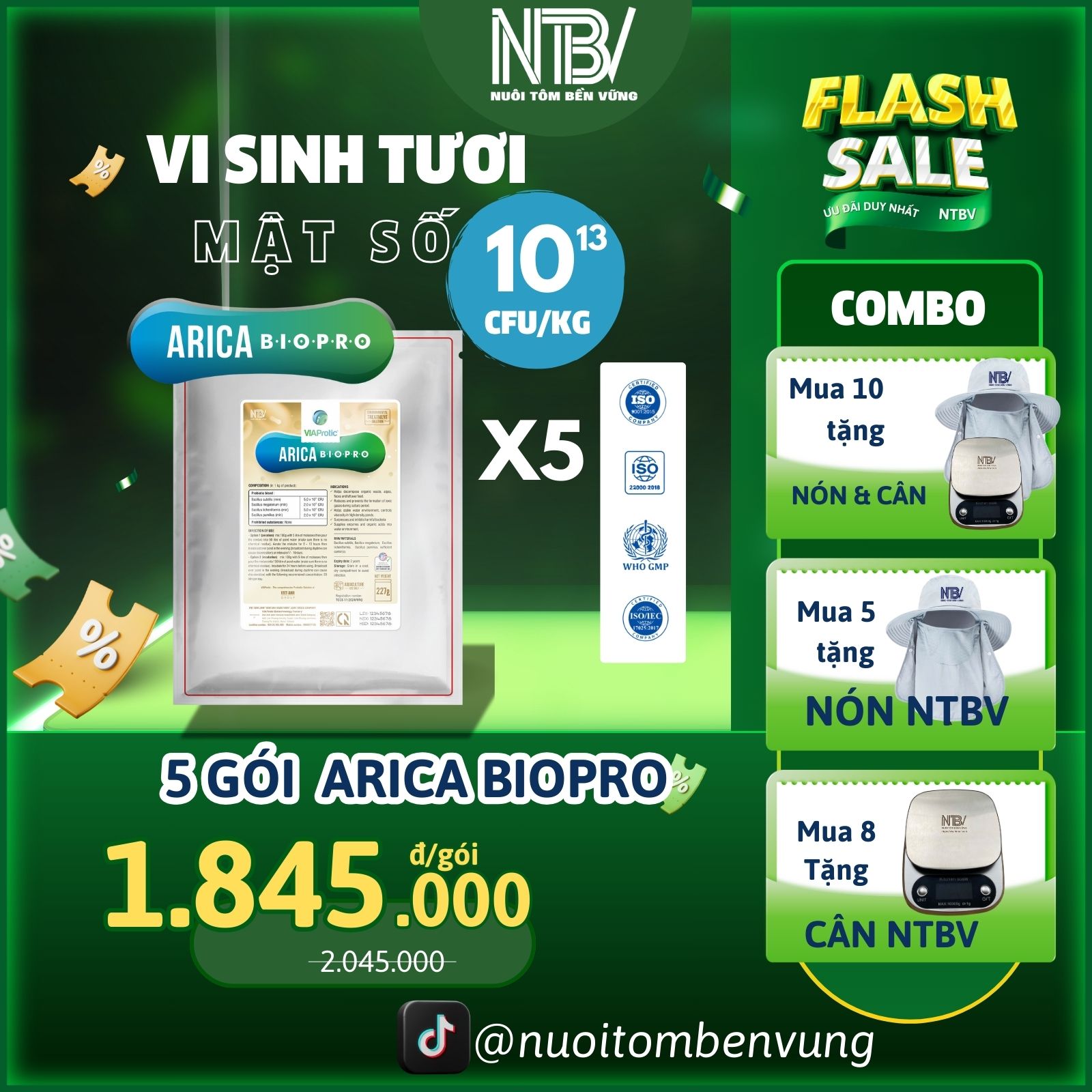 COMBO 5 GÓI ARICA TẶNG 1 NÓN NTBV