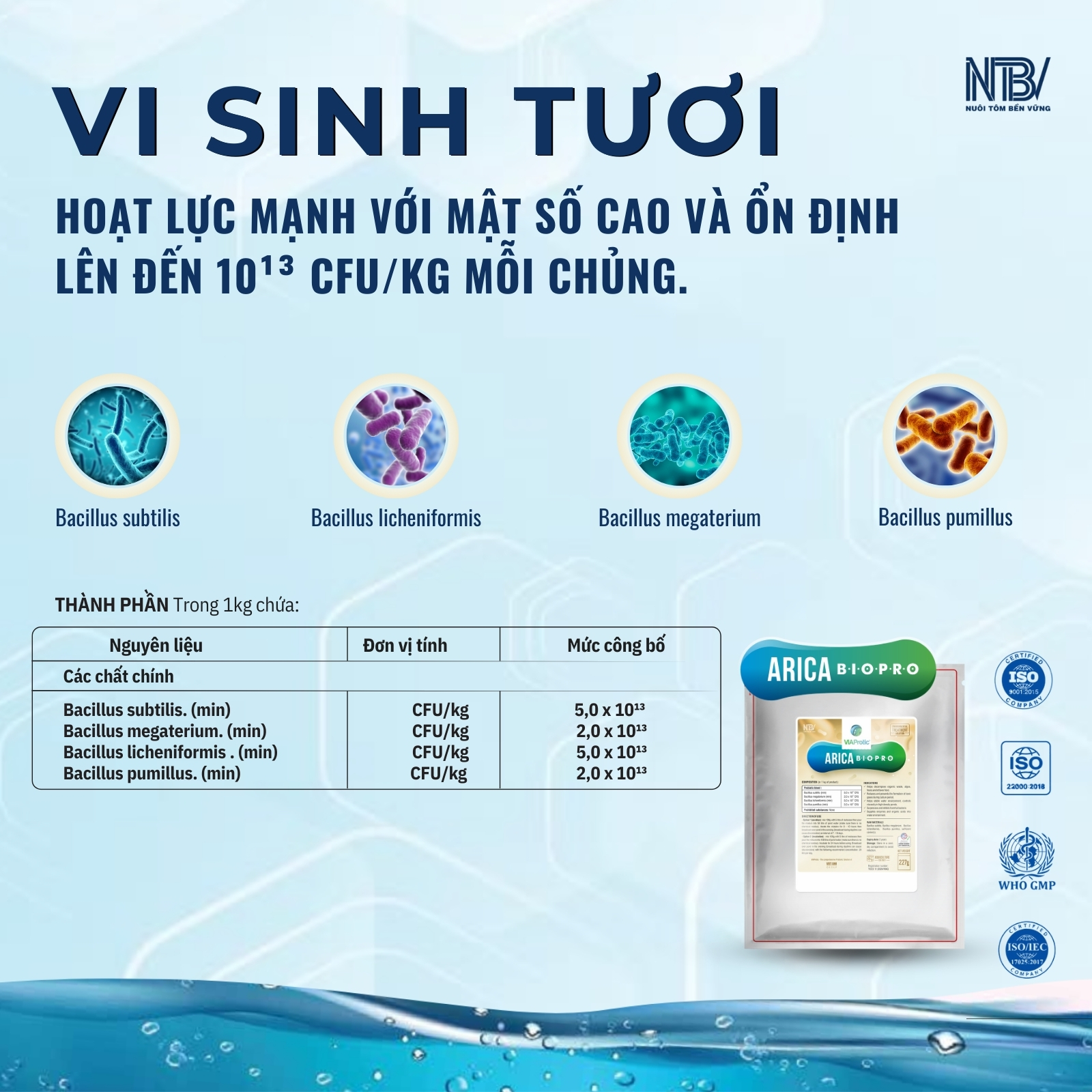 COMBO 8 GÓI ARICA TẶNG CÂN ĐIỆN TỬ