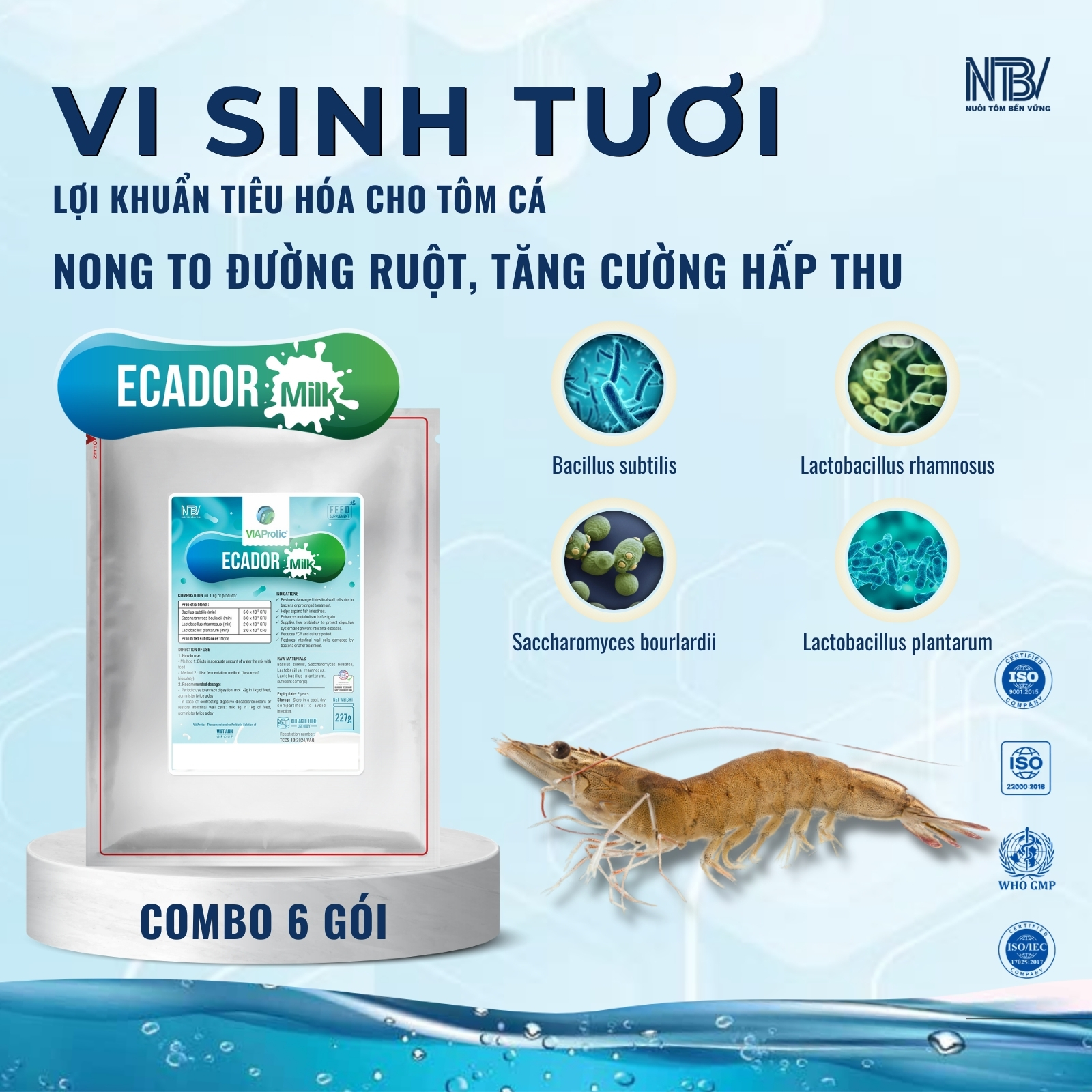 Combo 5 Ecador Milk tặng 1 nón NTBV