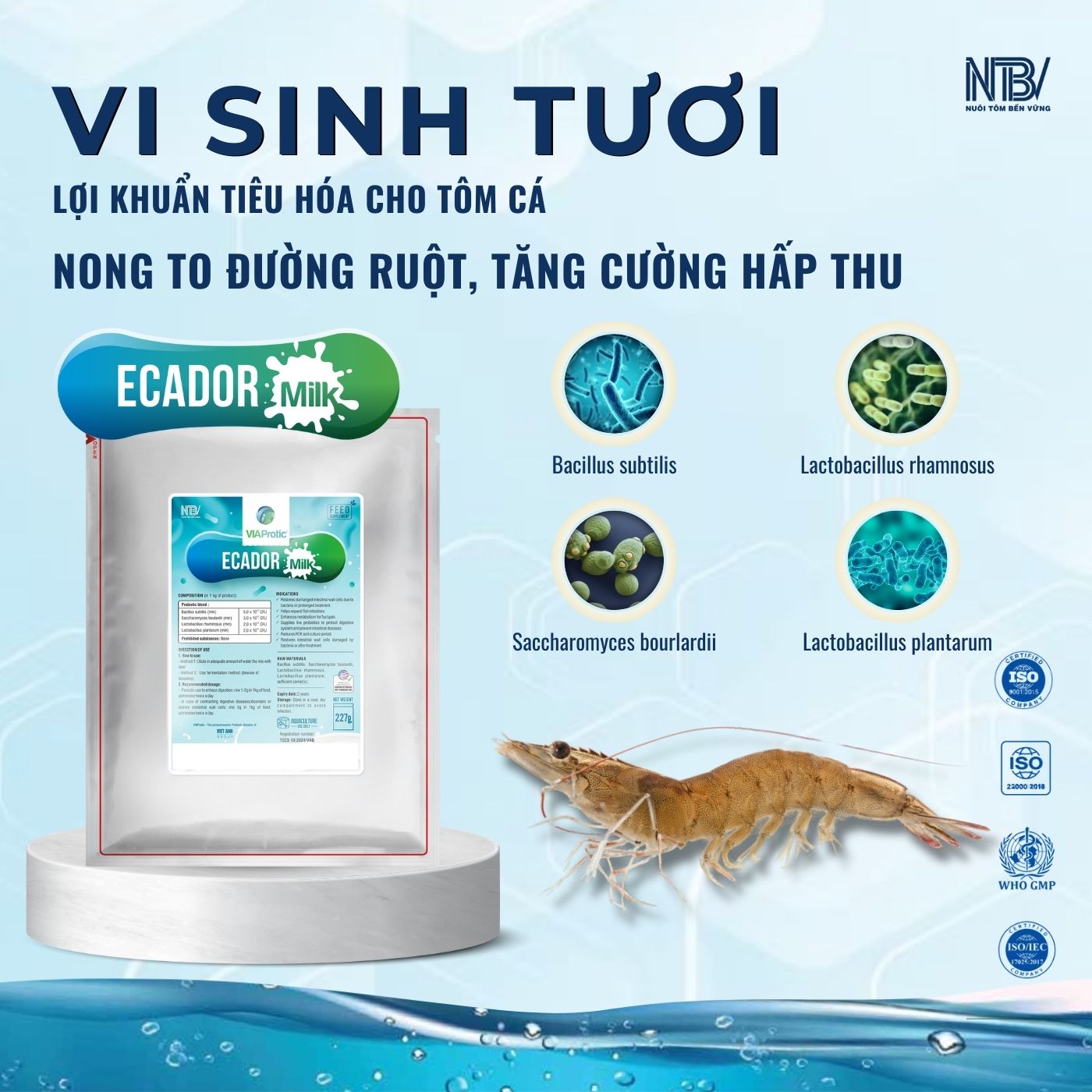 Combo 5 Ecador Milk tặng 1 nón NTBV