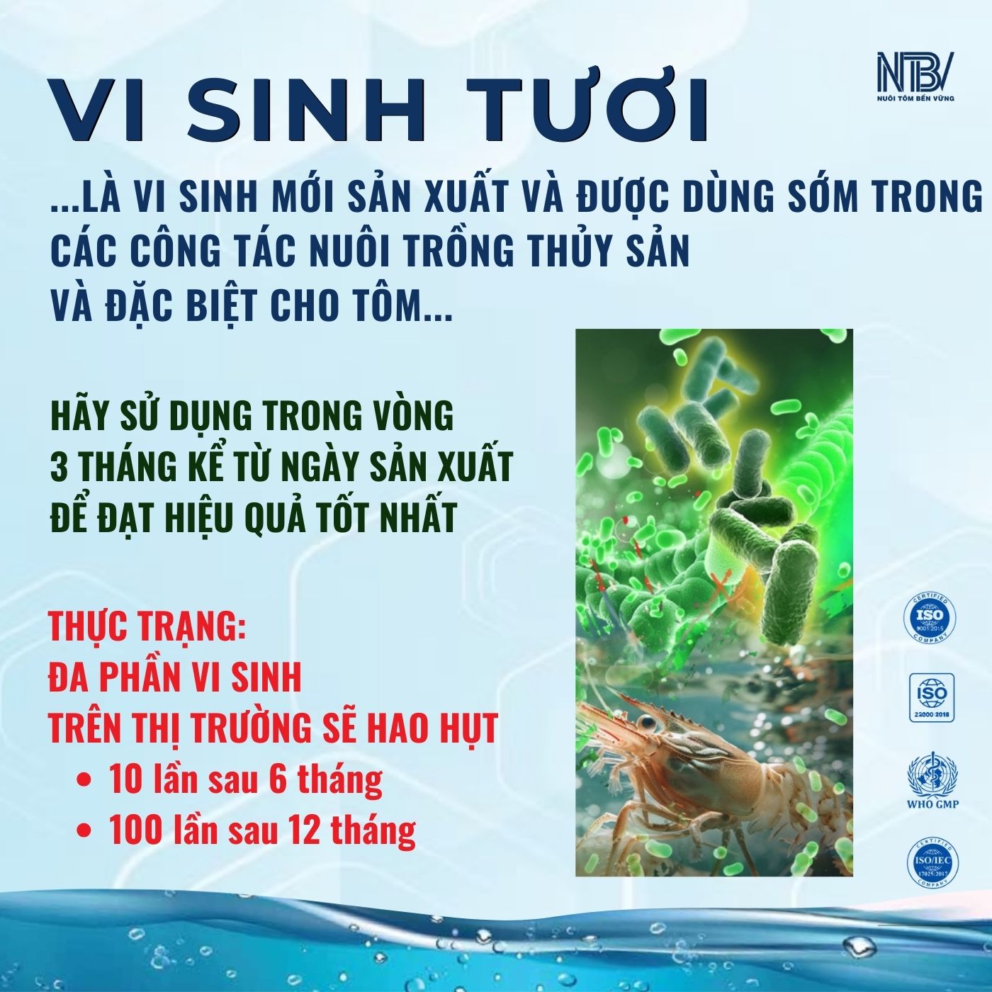 Combo 5 Ecador Milk tặng 1 nón NTBV