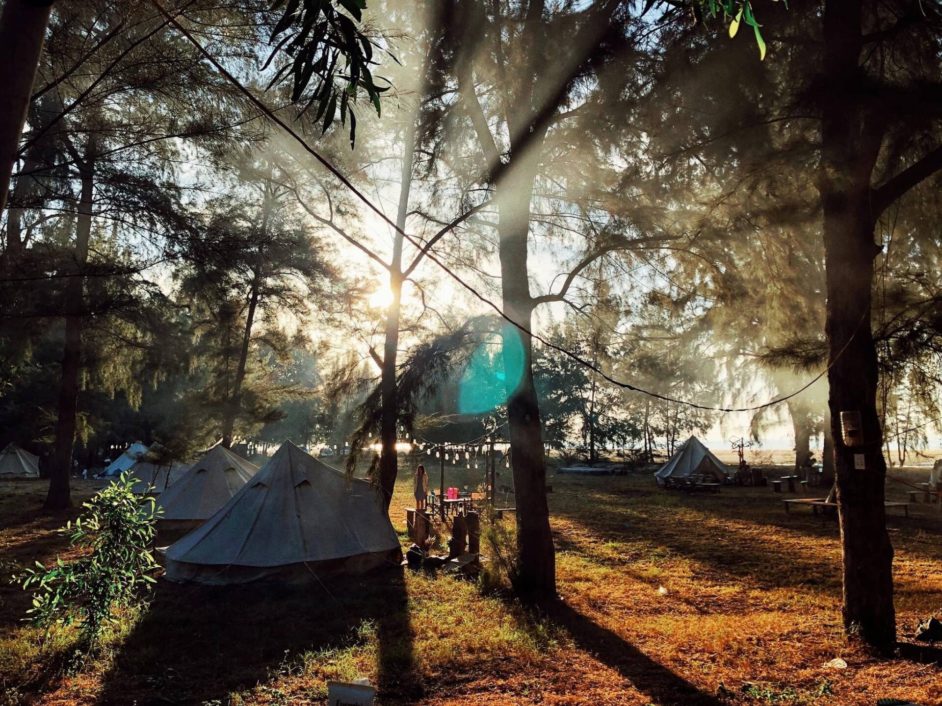 Địa điểm cắm trại gần Sài Gòn mà bạn không thể bỏ lỡ