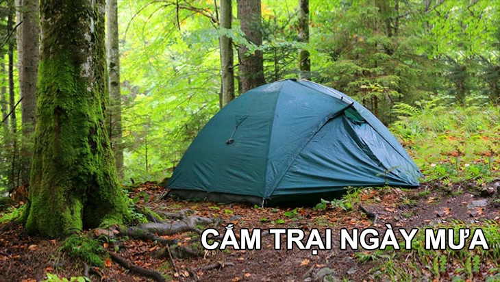 Top 8 Lều Cắm Trại Gia Đình Chống Mưa Tốt Nhất 2026: Đã Test Thực Tế