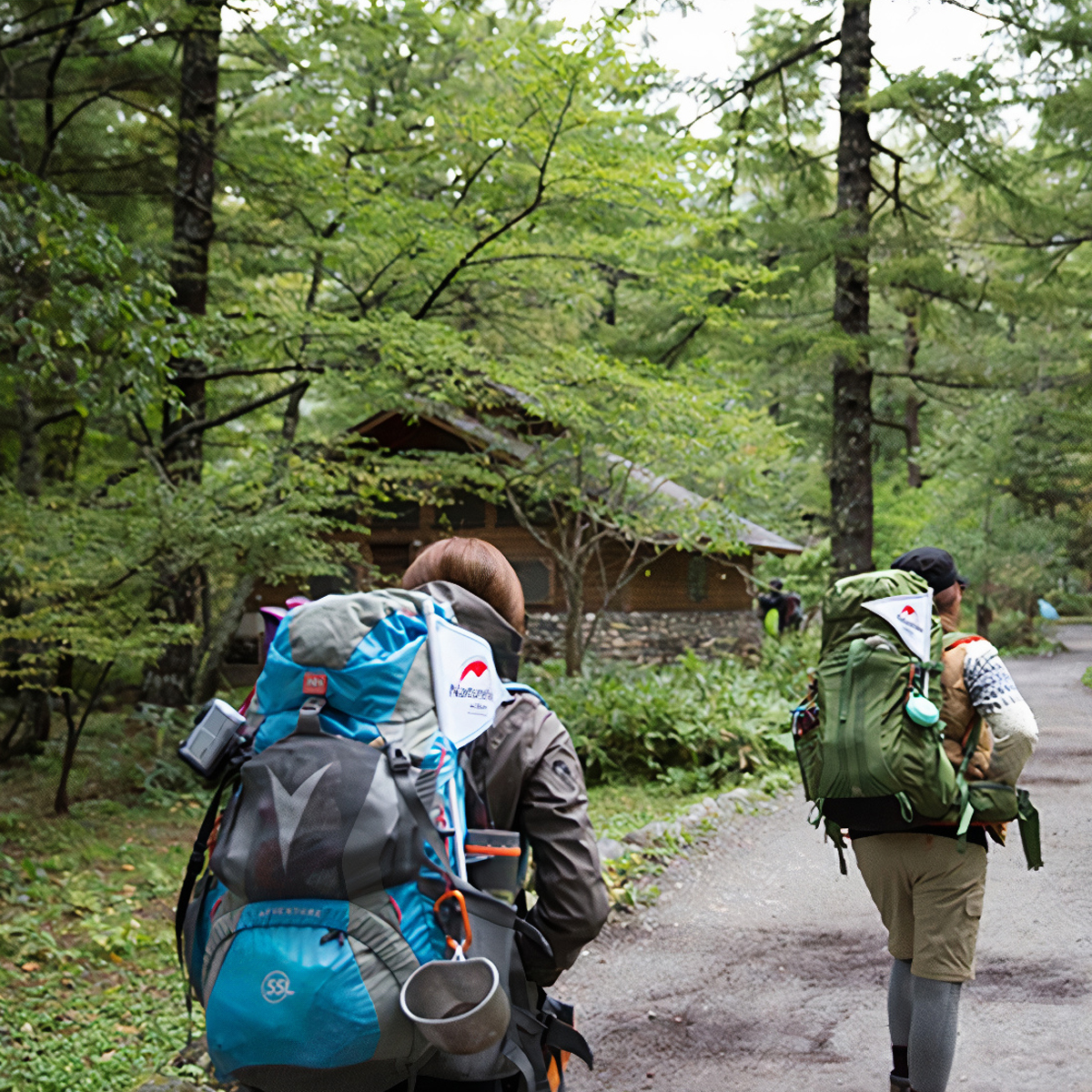 Naturehike Balo Cắm Trại - Du Lịch 65L Cao Cấp