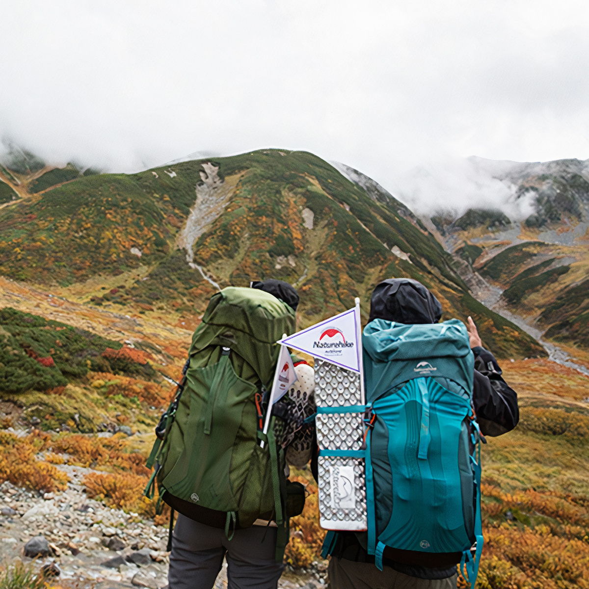 Naturehike Balo Cắm Trại - Du Lịch 65L Cao Cấp