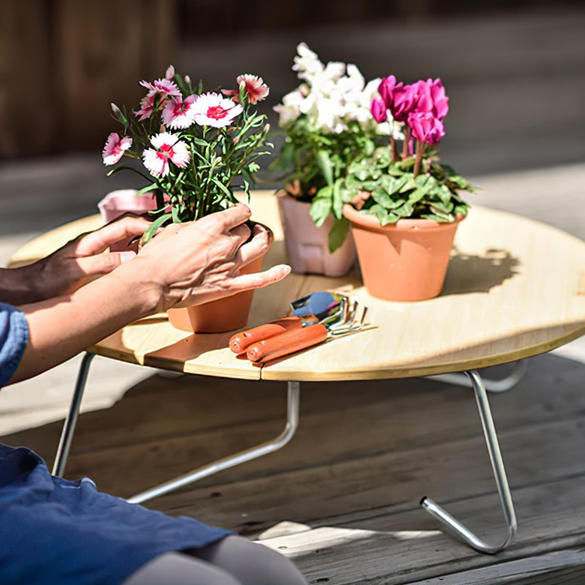 Bàn Cắm Trại Du Lịch Snowpeak One Action Chabudai Bamboo size M