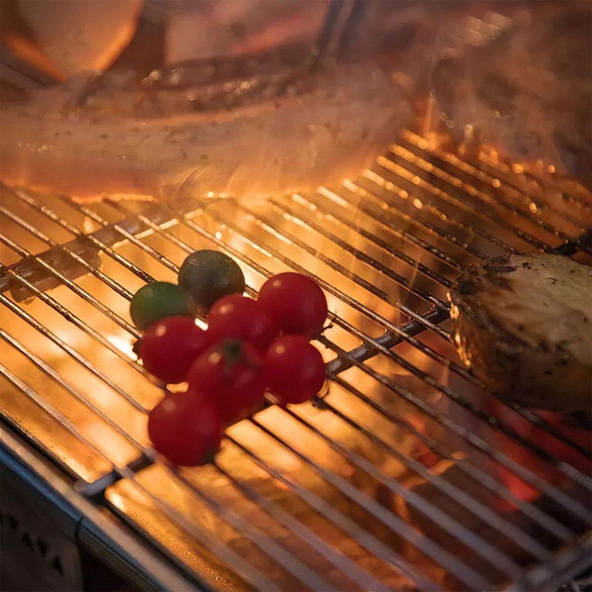 Campingmoon MT-5 Bếp Nướng Cắm Trại  MT5